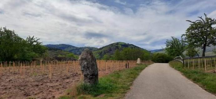 Gite A Andlau Exteriér fotografie